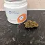 Patient Image of Curaleaf® HSR T21 High Silver Medical Cannabis