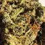 Patient Image of Upstate® BTK T26 Black Triangle Kush Medical Cannabis