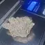 Patient Image of CannFX ZA T32 Zangria Medical Cannabis
