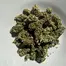Patient Image of Noidecs MVA T20:C4 Kosher Kush Medical Cannabis