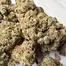 Patient Image of SafriCanna GT T23 Garlic Truffle Medical Cannabis