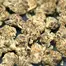 Patient Image of Greyscales SC T27 Strawberry Cough Medical Cannabis