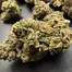 Patient Image of Green Karat LM T27 London Marker Medical Cannabis
