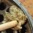 Patient Image of Dispensed Labs CLI T27 Kalifornia Medical Cannabis