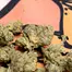 Patient Image of 4TP AFC T25 Animal Face Medical Cannabis
