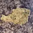 Patient Image of Greyscales GHZ T28 G13 Haze Medical Cannabis