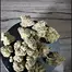 Patient Image of Sitka Legends WHG T26 White Hot Guava Medical Cannabis