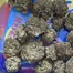 Patient Image of Blod Nosda T26 French Macaron Medical Cannabis