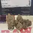 Patient Image of CannFX ZA T32 Zangria Medical Cannabis