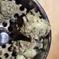 Patient Image of Ostara GC T30 Gas Cake Medical Cannabis