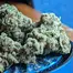 Patient Image of 4C Labs Core LMT T25 Lemonatti Medical Cannabis