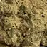 Patient Image of Plantations Cérès CJ T27 Cap Junky Medical Cannabis