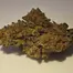 Patient Image of IPS SCP T21 Sherb Cream Pie Medical Cannabis