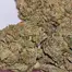 Patient Image of Superseed GTI PI T30 Gelatti Pie Medical Cannabis