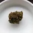 Patient Image of Canopy Growth® AKH T22 Afghan Kush Medical Cannabis
