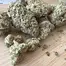 Patient Image of All Nations MDO T27 MAC Doughnut Medical Cannabis