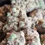 Patient Image of 4C Labs Craft ZG T21 Zero Gravity Medical Cannabis