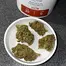 Patient Image of Adven® EMT-3 T20 Glory Glue Medical Cannabis