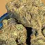 Patient Image of Papers™ AFC T28 Animal Face Cookies Medical Cannabis