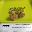 Patient Image of Four GFG T24 Grapefruit Gift Medical Cannabis