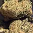 Patient Image of Sundaze® PMK T24 Permanent Marker Medical Cannabis