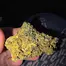 Patient Image of Superseed CGO CHZ T30 Congo Creek Haze Medical Cannabis