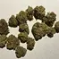 Patient Image of EastCann JR T27 Jelly Rancher Medical Cannabis