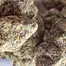 Patient Image of Next Friday BF T24 Blueberry Fuego Medical Cannabis