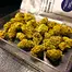 Patient Image of ECS Pharma T15 Cheese-Leche Medical Cannabis