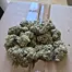 Patient Image of IPS BLU T26 Blunicorn Medical Cannabis