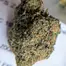 Patient Image of PharmaServ ZO T19 Zoom Medical Cannabis