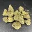 Patient Image of Sundaze® PP T25 Purple Punch Medical Cannabis