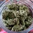Patient Image of Noidecs T18 Gorilla Glue #4 Medical Cannabis