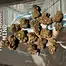 Patient Image of CannFX ZA T32 Zangria Medical Cannabis