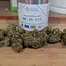 Patient Image of Glass Pharms® BB T9:C11 Blackberry Balanced Medical Cannabis
