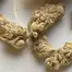 Patient Image of SafriCanna BCP T21 Black Cherry Punch Medical Cannabis