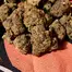 Patient Image of 4C Labs GGU T25 Grandi Guava Medical Cannabis