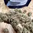 Patient Image of Medicus FPK T27 Fruity Pebble Kush Medical Cannabis