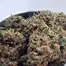 Patient Image of Kasa Verde FC T32 Fight Club Medical Cannabis