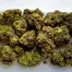 Patient Image of Grow® Pharma HJ T16 Herijuana Medical Cannabis