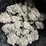 Patient Image of Big Narstie Medical PB-S Smalls T26 Papaya Bantz Medical Cannabis