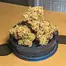 Patient Image of CannFX RP T27 Rainbow Pie Medical Cannabis