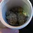 Patient Image of Lumir® KKM T27 KK Mints Medical Cannabis