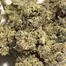 Patient Image of Papers™ YC T29 Yoda Cap Medical Cannabis