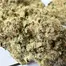 Patient Image of Upstate® BP T21 Berry Cream Puff Medical Cannabis
