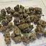 Patient Image of Humble Bud PNE Smalls T25 Pineapple Express Medical Cannabis