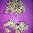 Patient Image of Peace Naturals® T27 Blue Thai Medical Cannabis