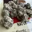 Patient Image of Green Karat KS T27 King Sherb Medical Cannabis