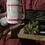 Patient Image of Aurora® Pedanios PND T31 Pink Diesel Medical Cannabis