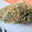 Patient Image of Clearleaf® GED T21 Gelato Dream Medical Cannabis